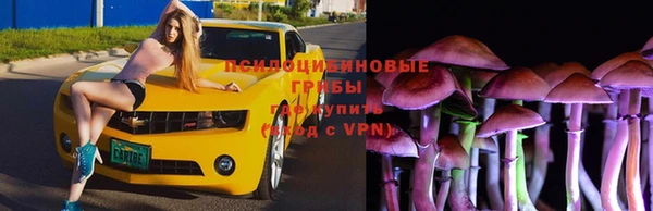 ГАЛЛЮЦИНОГЕННЫЕ ГРИБЫ Осташков