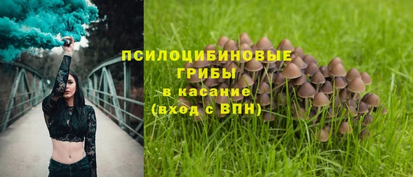 ПСИЛОЦИБИНОВЫЕ ГРИБЫ Абдулино