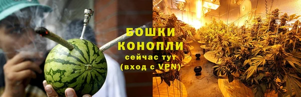 ПСИЛОЦИБИНОВЫЕ ГРИБЫ Абдулино