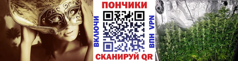 Бошки марихуана индика  Электроугли 